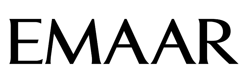 Developer 1